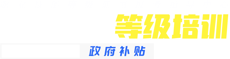职业技能等级培训